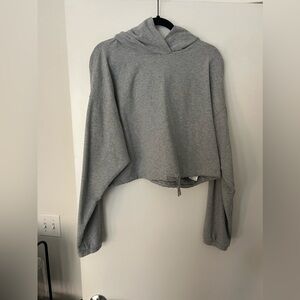 Aritzia Grey Cropped Hoodie